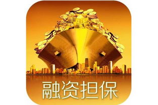 融資性擔保公司牌照申請條件